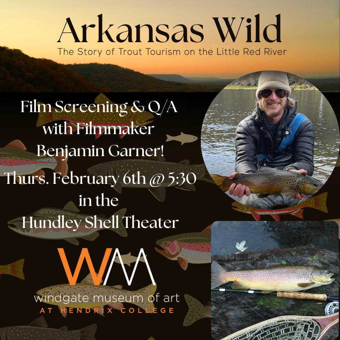 Arkansas Wild graphic design example by Alyssa Chaffin.